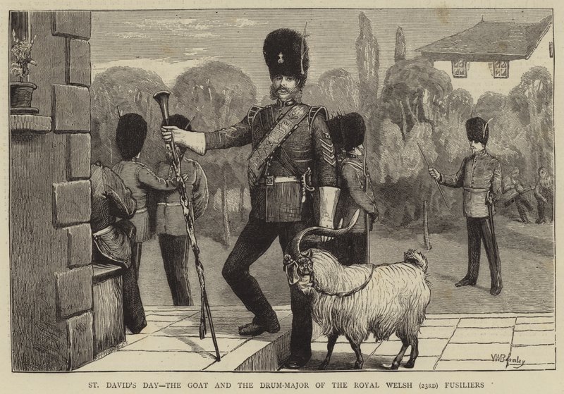 St. David