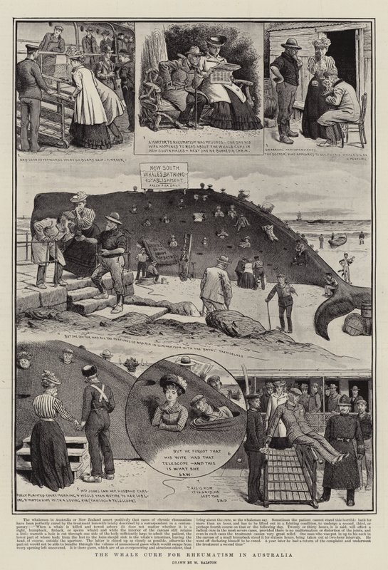 Die Walfangkur gegen Rheuma in Australien von William Ralston