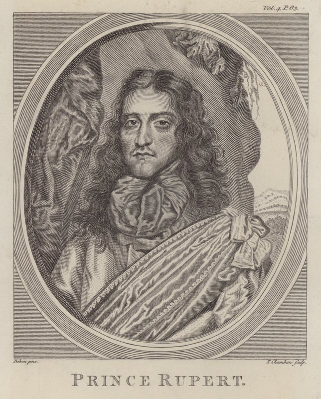 Prinz Rupert vom Rhein, deutscher Soldat im englischen Bürgerkrieg von William (after) Dobson