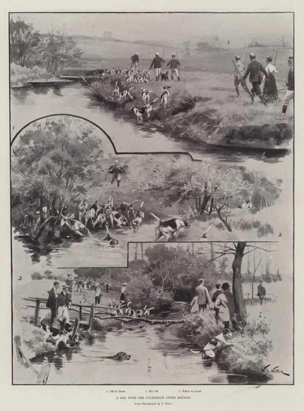 Ein Tag mit den Culmstock Otterhunden von William Barnes Wollen