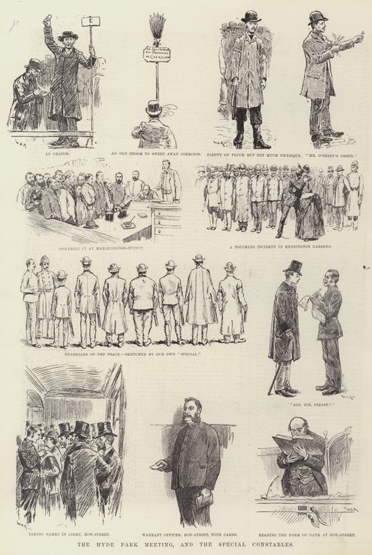 Das Hyde Park Treffen und die Sonderpolizisten von William Douglas Almond