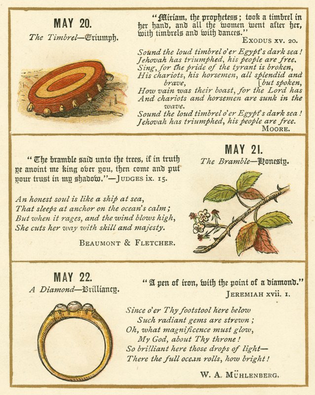 Seite aus dem Bibel-Emblem-Jubiläumsbuch von William Foster