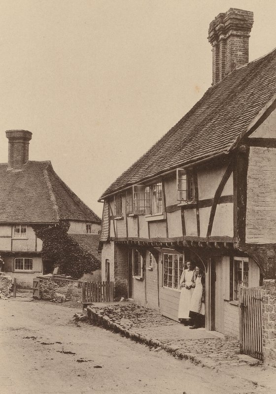 Bei Byworth, in der Nähe von Petworth, Sussex von William Galsworthy Davie