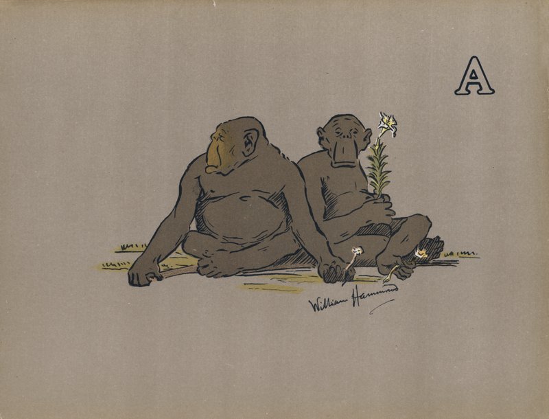 Buchstabe A, Ästhetische Anthropoidenaffen, die abnorm apathische Haltungen einnehmen von William Hammond