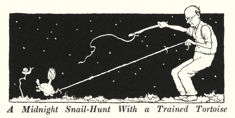 Eine Mitternachts-Schneckenjagd mit einer trainierten Schildkröte von William Heath Robinson