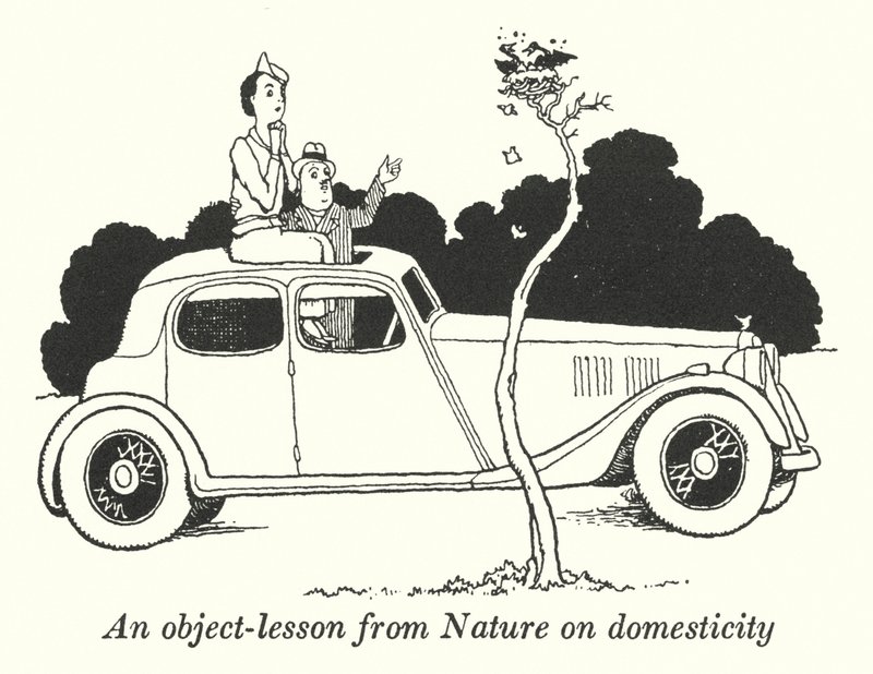 Eine Lektion aus der Natur über Häuslichkeit (Litho) von William Heath Robinson