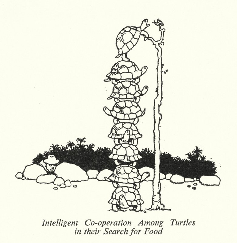 Intelligente Zusammenarbeit unter Schildkröten bei der Nahrungssuche von William Heath Robinson
