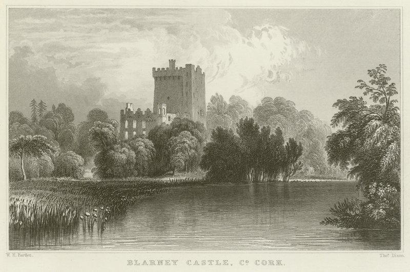Blarney Castle in County Cork von William Henry Bartlett