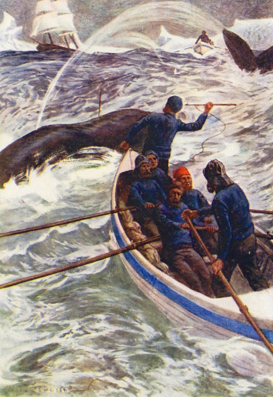 Illustration für Die Welt des Eises oder die Walfangreise der Dolphin von William Henry Charles Groome