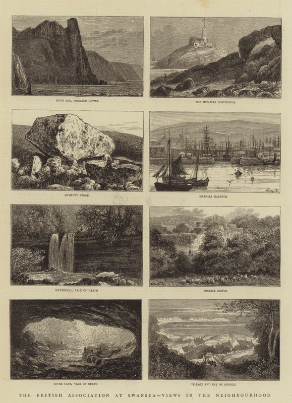 Die British Association in Swansea, Ansichten in der Umgebung von William Henry James Boot
