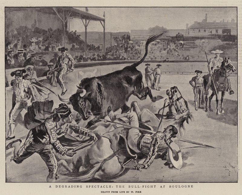 Ein erniedrigendes Schauspiel, der Stierkampf in Boulogne von William Henry Pike