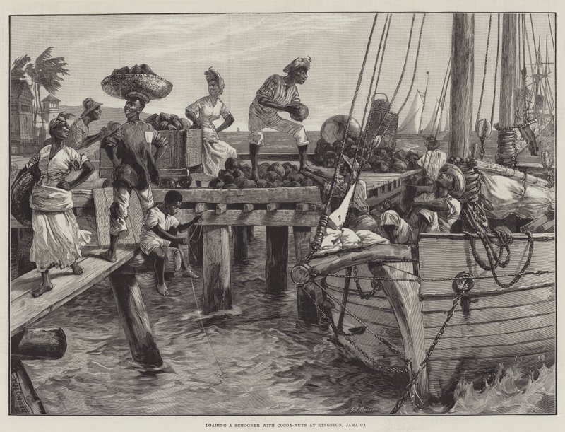 Beladen eines Schoners mit Kokosnüssen in Kingston, Jamaika von William Heysham Overend