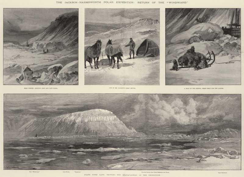Die Jackson-Harmsworth-Polarexpedition, Rückkehr der Windward von William Heysham Overend