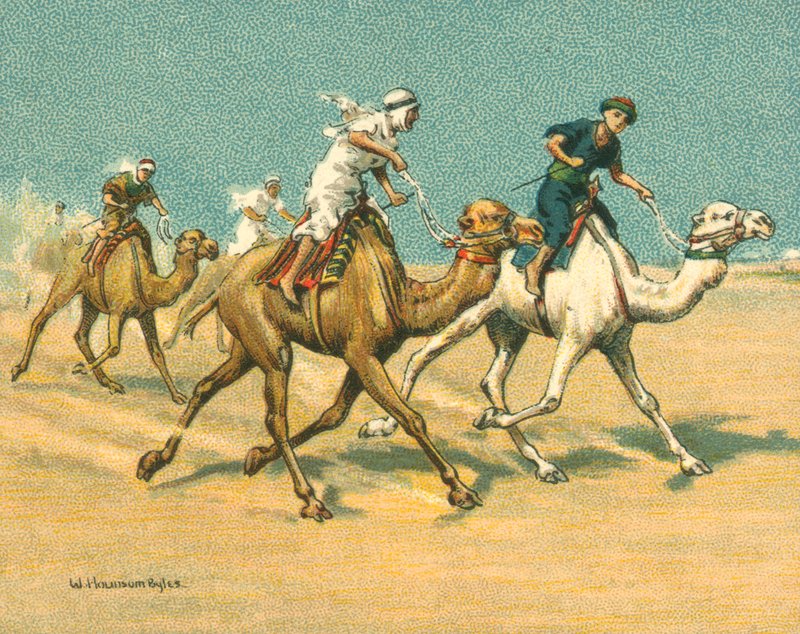 Historische und moderne Rennen, Kamelrennen (Chromolithografie) von William Hounsom Byles