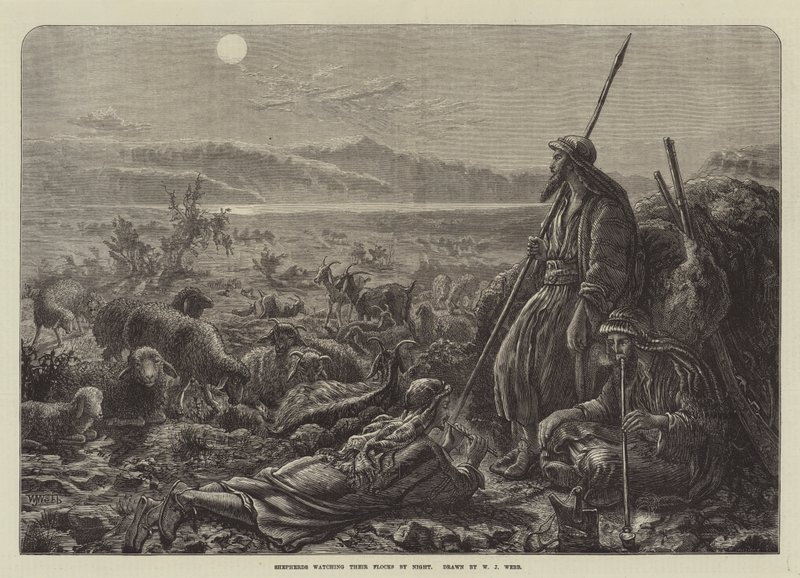 Hirten, die nachts ihre Herden beobachten von William J. Webbe or Webb
