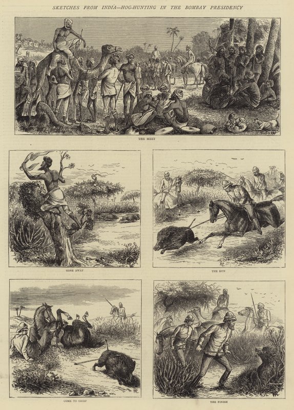 Skizzen aus Indien, Schweinejagd in der Bombay-Präsidentschaft von William Ralston