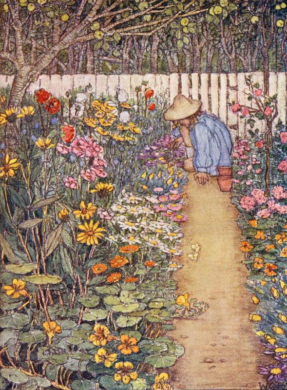 Kinderbuch der Gartenarbeit: Eine Staudenrabatte von Winifred Cayley Robinson