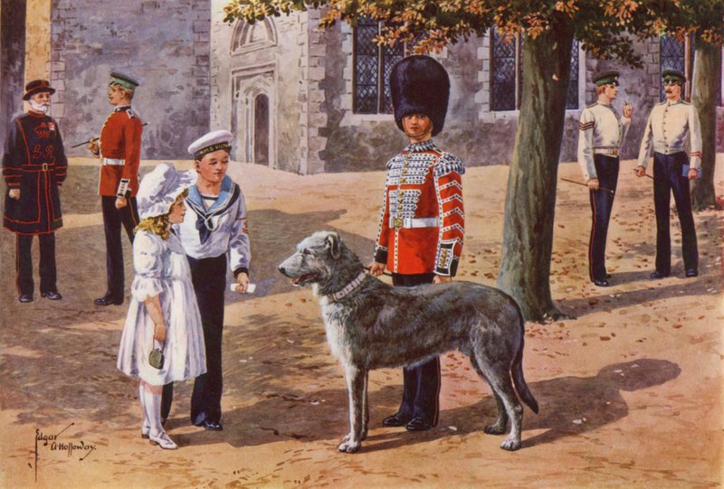 Der Haustier-Wolfshund der Irish Guards im Tower of London von after Edgar Alfred Holloway