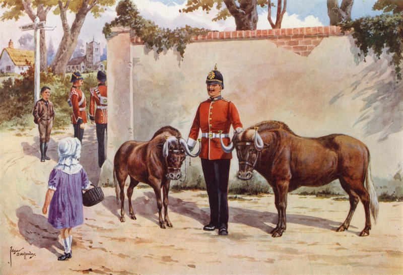 Gnus (oder Weißschwanz-Gnus), Haustiere der South Wales Borderers von after Edgar Alfred Holloway