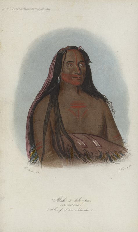 Mah-to-toh-pa, Die vier Bären, 2. Häuptling der Mandan (Aquatinta) von after George Catlin