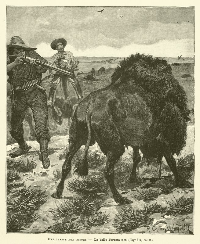 Eine Bisonjagd von after Richard Caton II Woodville