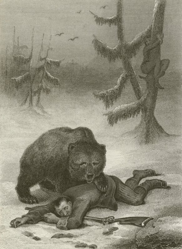 Der Bär und die zwei Gefährten von after Tony Johannot