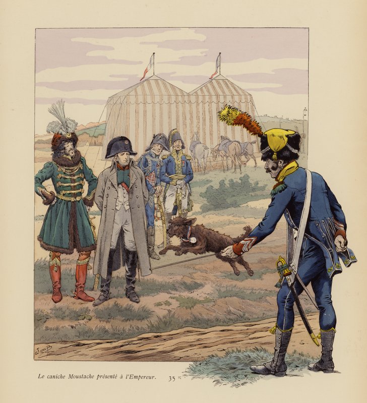 Der Hund Moustache wird Napoleon vorgestellt (Farblithografie) von pseudonym for Onfray de Breville Jacques Job