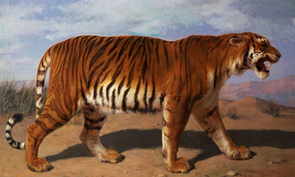 Wilde Tiere