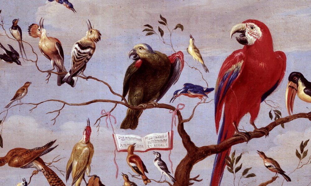 Vögel