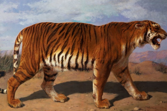 Wilde Tiere