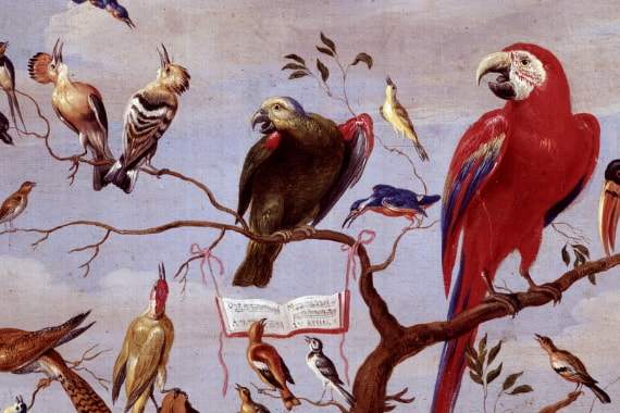 Vögel