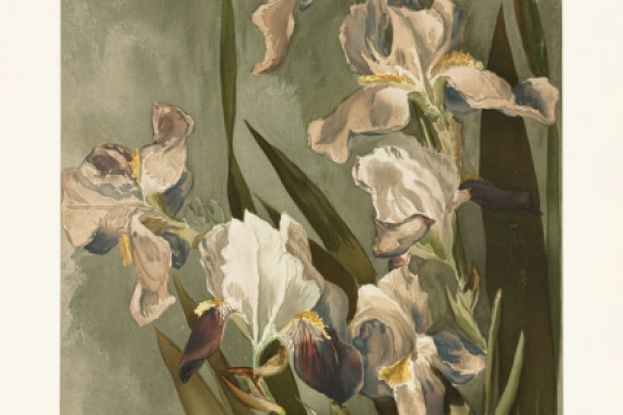Elizabeth F. Parker
