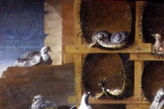 Felice school of Boselli