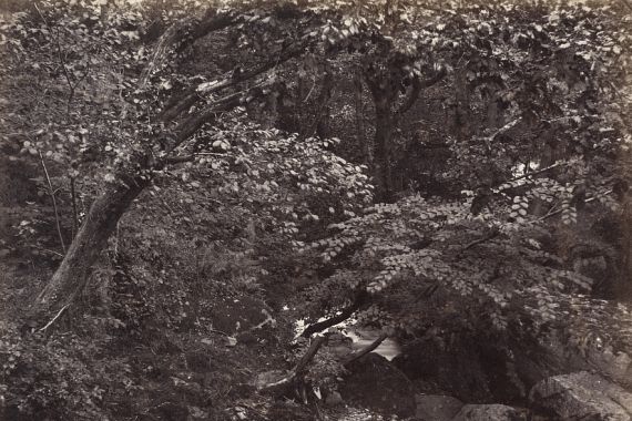 Francis Frith/Francis Bedford