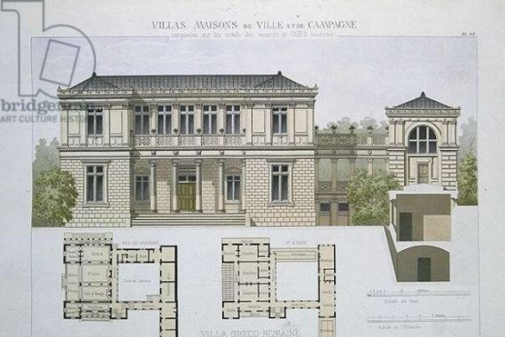 Olive after Olive after