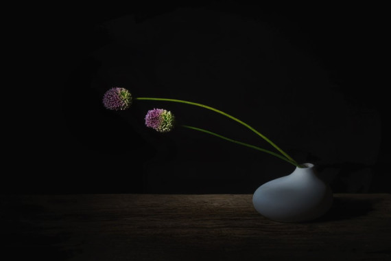 Saskia Dingemans