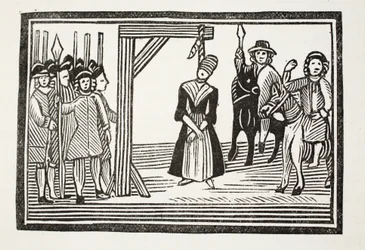 Das ganze Leben und die Abenteuer von Miss Davis, allgemein bekannt als Die Schönheit in Verkleidung, Illustration aus 
