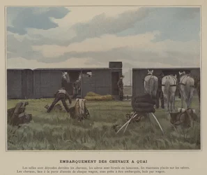 Einschiffung der Pferde am Kai (koloriertes Foto)