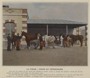 La Forge, Visite du Vétérinaire