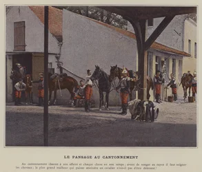 Le Pansage au Cantonnement