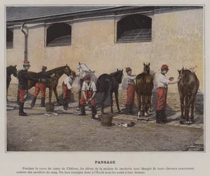 Pflege (farbiges Foto)
