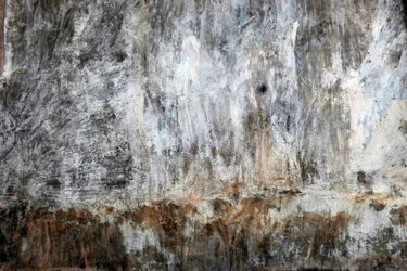 Landschaft