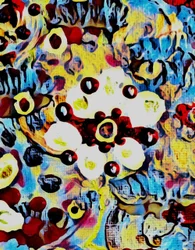 Die Schneerose