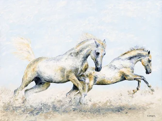 Arabische Ritter