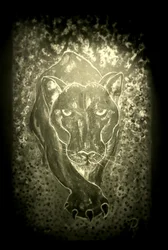 Der Panther - grau