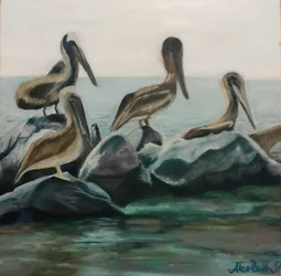Birds 