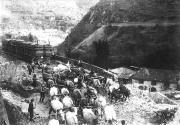 Zahlreiche Ochsen transportieren einen riesigen Konvoi mit Marmor, der gerade aus einem Apuanischen Steinbruch ins Tal gebracht wurde