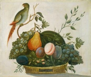 Korb mit Früchten und Papagei