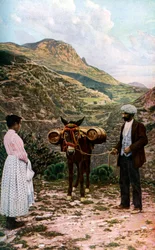 Maultier mit Wasserkannen, Sizilien, Italien, um 1923