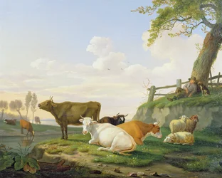 Kühe und Hirte